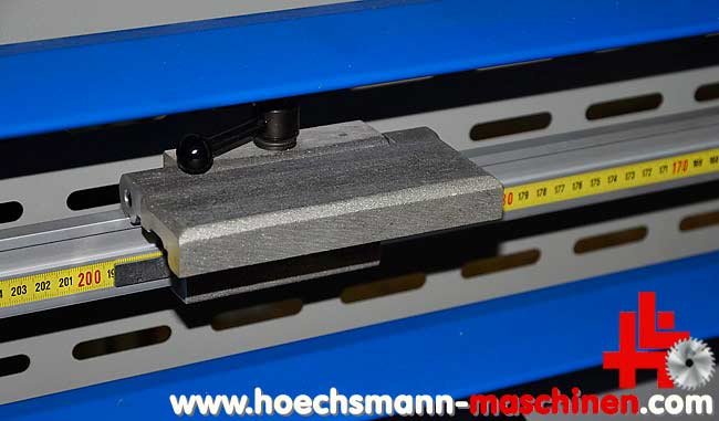GMC Pegasus 215 3500 stehende Plattensäge, Holzbearbeitungsmaschinen Hessen Höchsmann