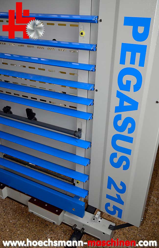 GMC Pegasus 215 3500 stehende Plattensäge, Holzbearbeitungsmaschinen Hessen Höchsmann