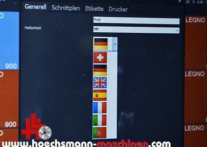 gmc stehende vertikale plattensaege kgs gmc400a Höchsmann Holzbearbeitungsmaschinen Hessen