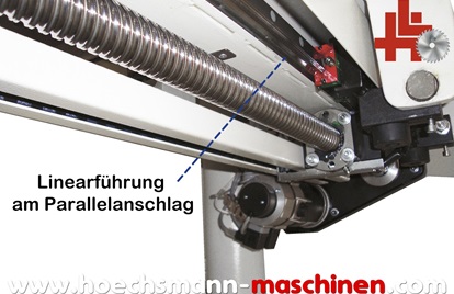 SCM Formatkreissäge SIX Linvincibile eye, Holzbearbeitungsmaschinen Hessen Höchsmann