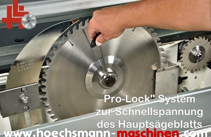SCM Formatkreissäge SIX Linvincibile eye, Holzbearbeitungsmaschinen Hessen Höchsmann