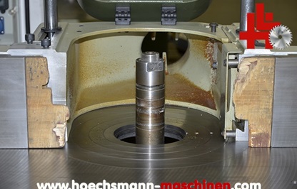 SCM Schwenkfräse T 110i, Holzbearbeitungsmaschinen Hessen Höchsmann