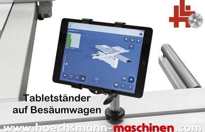 SCM Formatkreissäge SIX Linvincibile eye, Holzbearbeitungsmaschinen Hessen Höchsmann