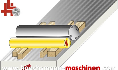 SCM Dickenhobelmaschine L'invincibile s 7, Holzbearbeitungsmaschinen gebrauchte und neue, Hessen Höchsmann Langen